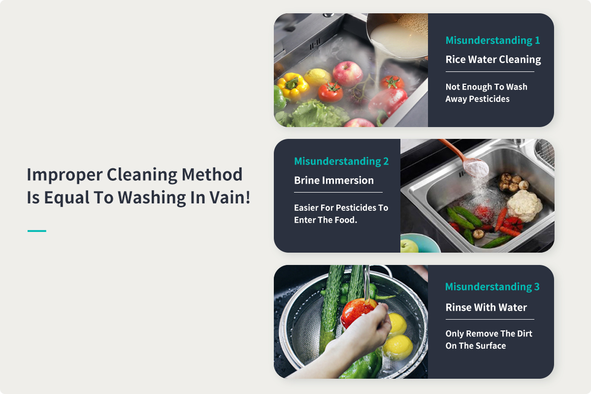 Vegetable and Fruits Washer-2