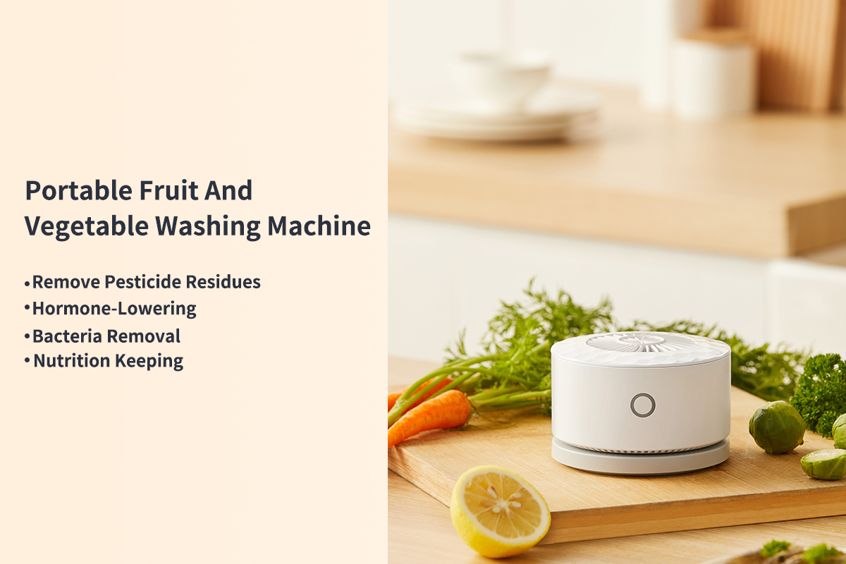 Vegetable and Fruits Washer-3