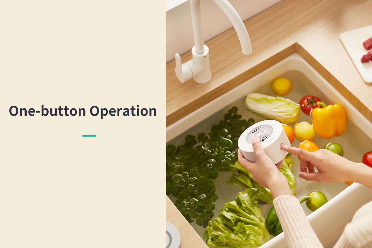 Vegetable and Fruits Washer-19