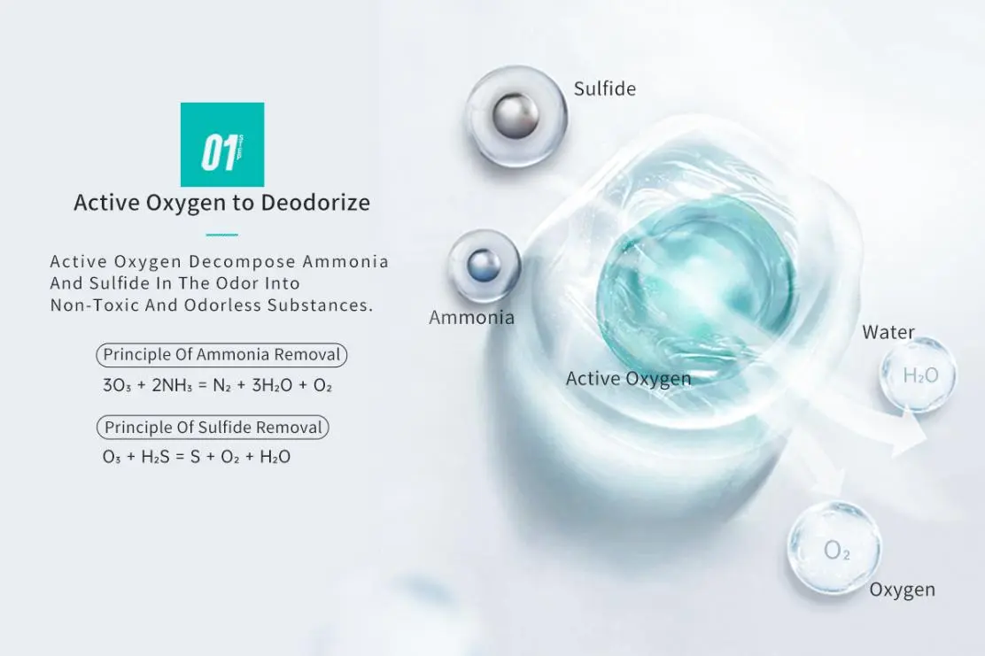 best Pet deodorizer